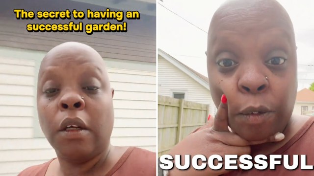 A person sharing gardening tips, looking directly at the camera with text highlighting "The secret to having a successful garden!"