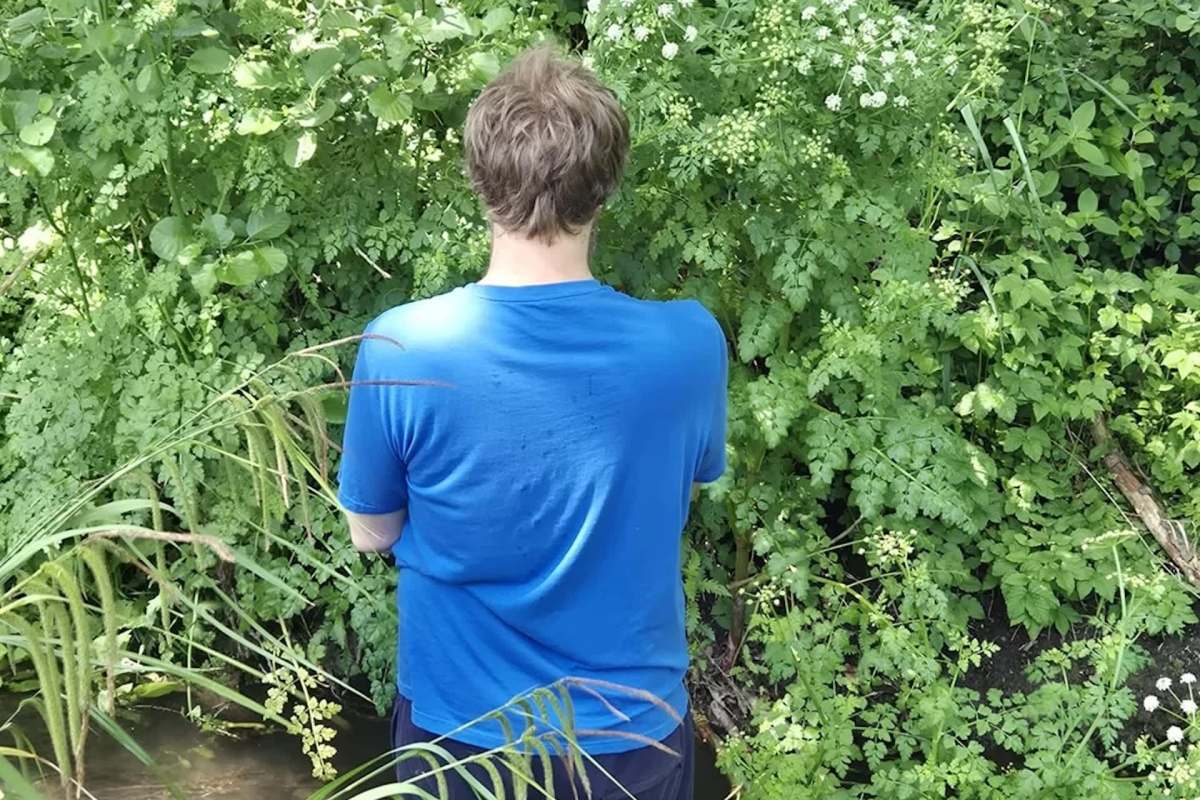 A person in a blue shirt stands near a lush, green area with plants and a small stream visible.