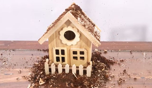 A wooden birdhouse surrounded by termites.