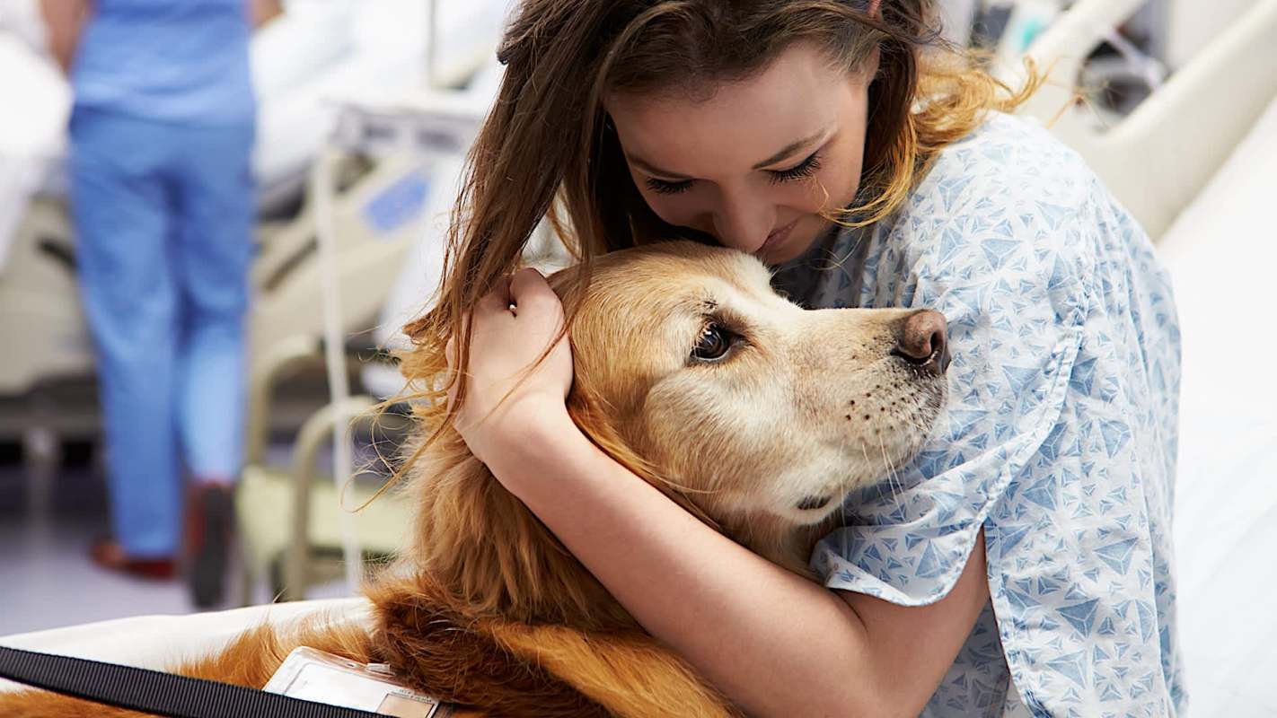 A girl in a hospital gown hugs a golden retriever dog affectionately.