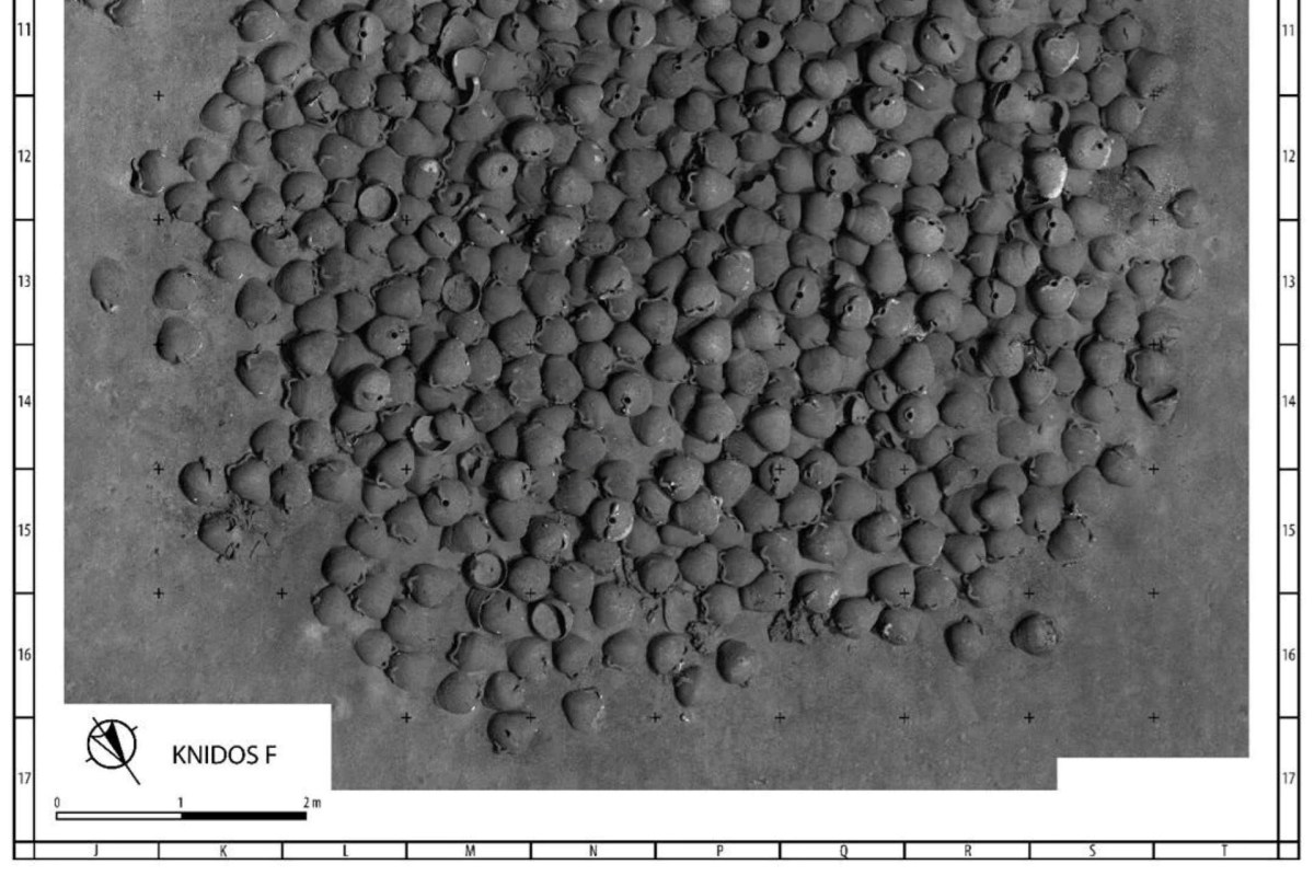A close-up view of numerous small, round structures arranged on a surface, resembling tiny pots or beads.