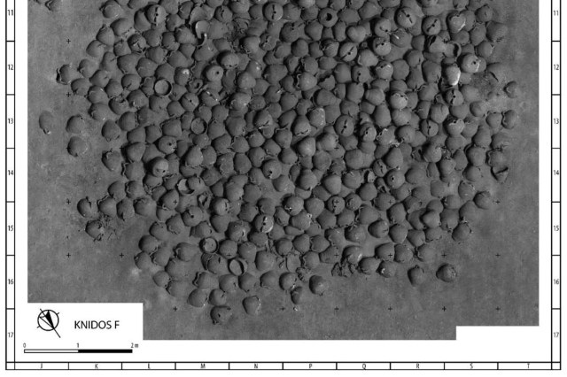 A close-up view of numerous small, round structures arranged on a surface, resembling tiny pots or beads.