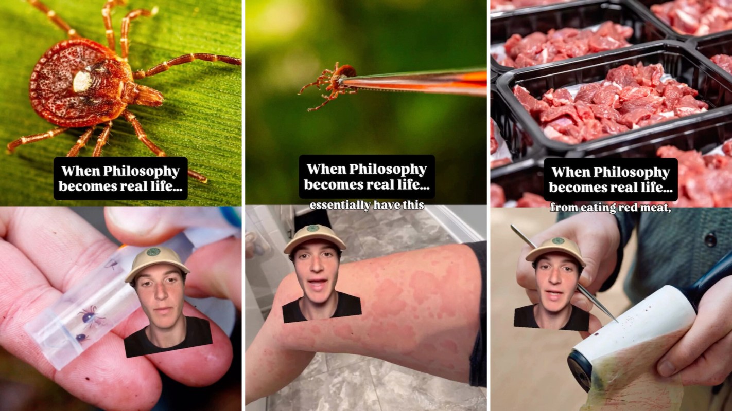 A collage illustrating life lessons, featuring a tick, a person with a skin condition, and images of red meat.