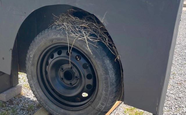 A black tire with dried twigs and grass woven into it sits beside a gray vehicle base on gravel.