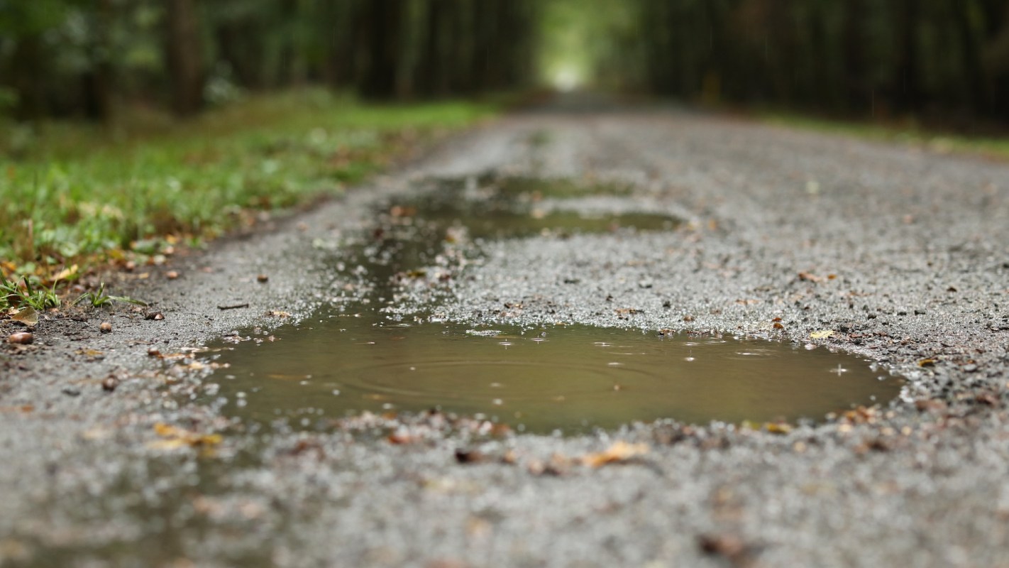 Puddles of water collect on a gravel path surrounded by greenery after rainfall.