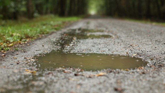 Puddles of water collect on a gravel path surrounded by greenery after rainfall.