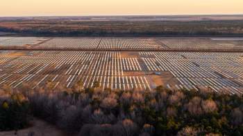 Aerial view of a vast solar farm with numerous solar panels set against a backdrop of trees and fields.