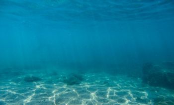 A clear underwater scene showcasing sand and scattered rocks in a blue ocean environment.