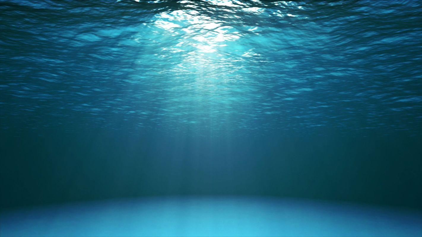 Sunlight filters through ocean water.