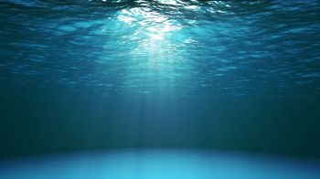 Sunlight filters through ocean water.
