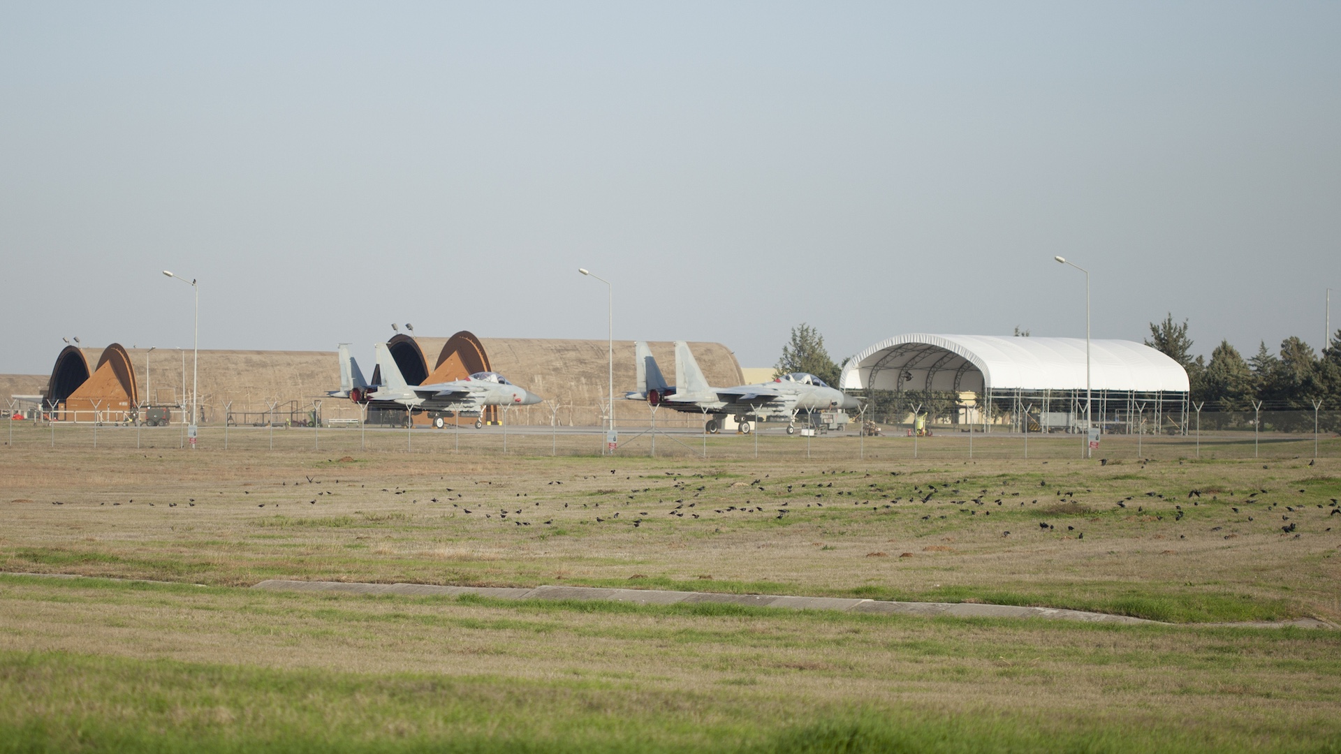 Military bases can face 20 overlapping species plans, and Virginia Tech wants one fix