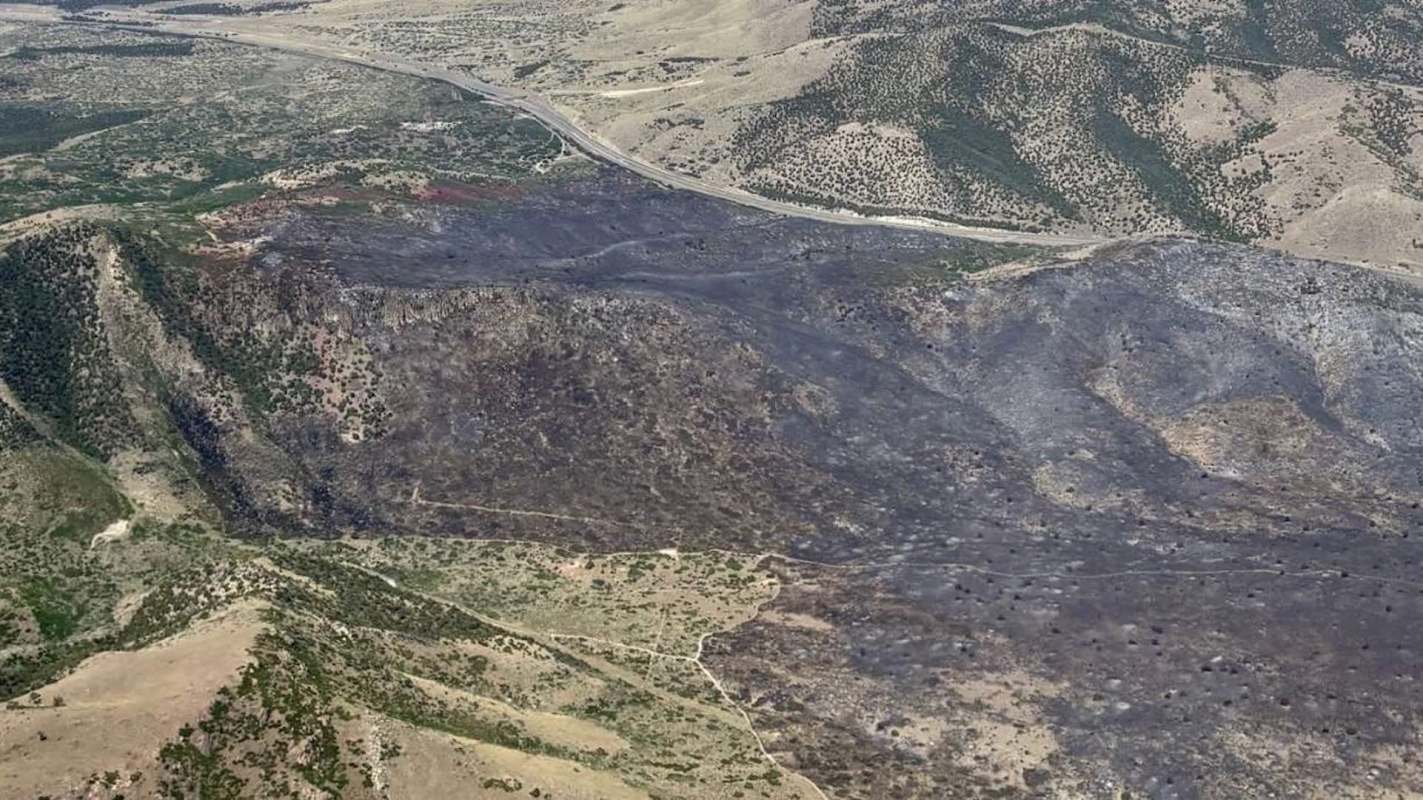 Aerial view of a charred landscape showing areas of burned vegetation and a nearby road.