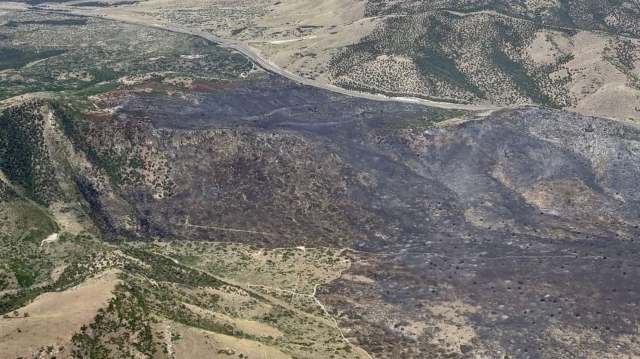 Aerial view of a charred landscape showing areas of burned vegetation and a nearby road.