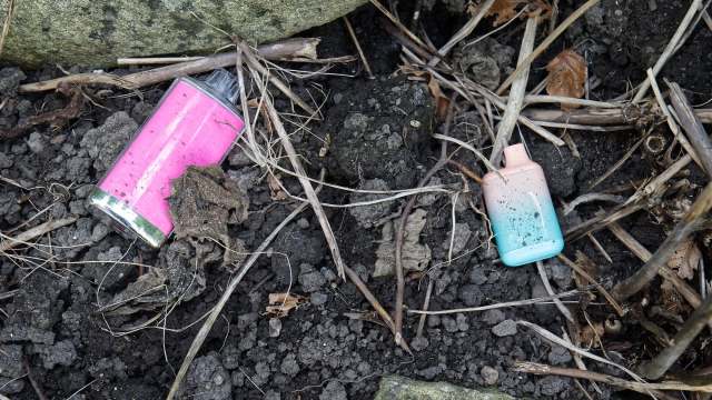 Two discarded vape canisters, one pink and one blue, resting on dark soil amid dry leaves and twigs.