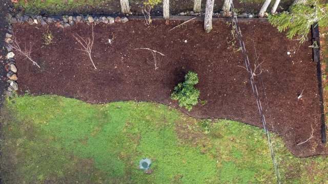 An aerial view of a grassy area with two small trees surrounded by mulch and a stone border.