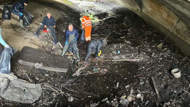 A group of volunteers collects trash in a polluted area under a bridge.