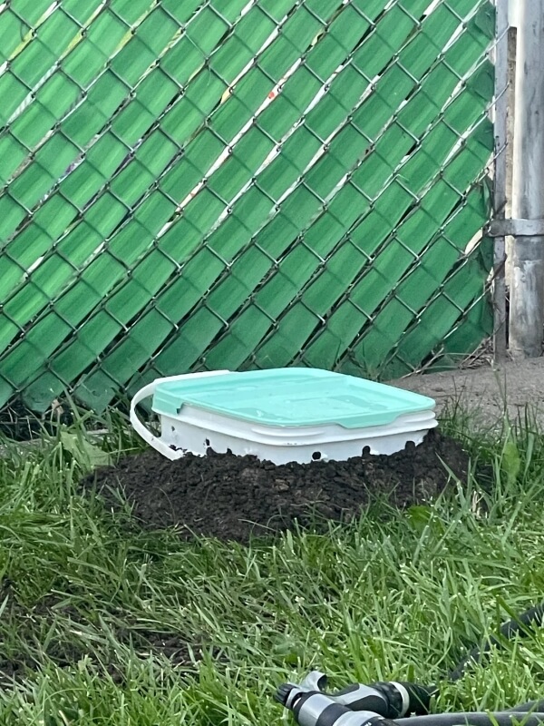 A bucket with holes partially buried in soil.
