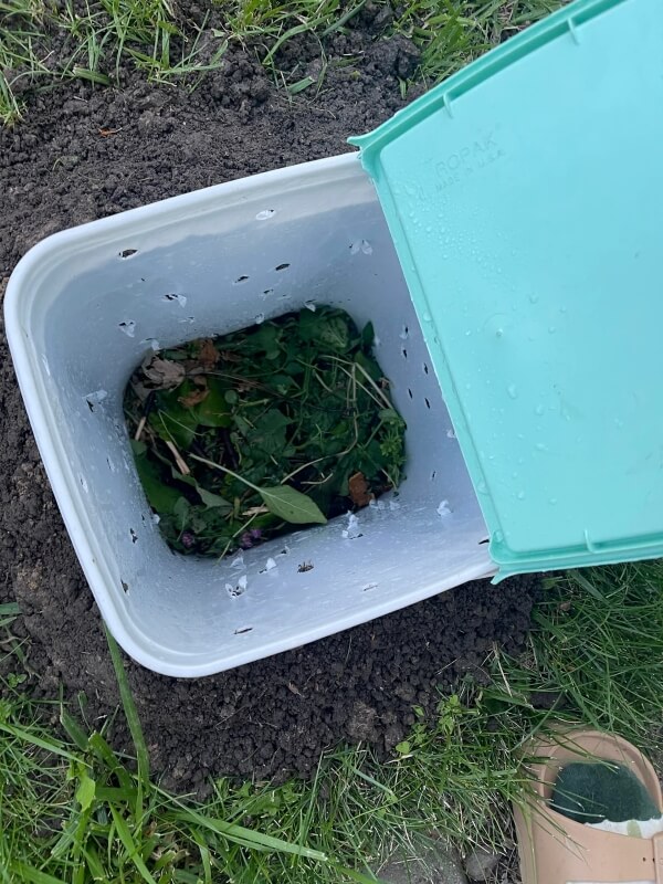 Aerial view of a bucket with plant clippings.