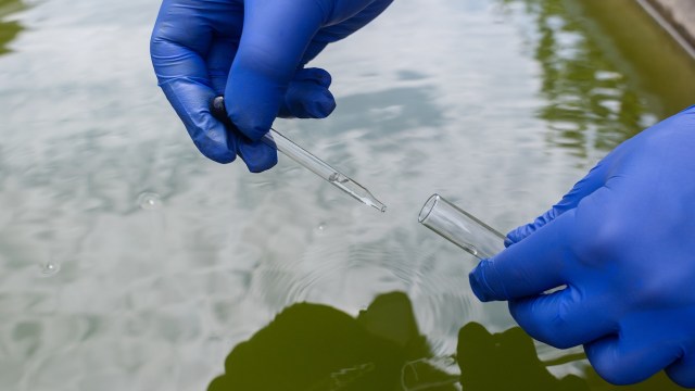 A person in blue gloves holds two glass test tubes over a green-tinted water surface.