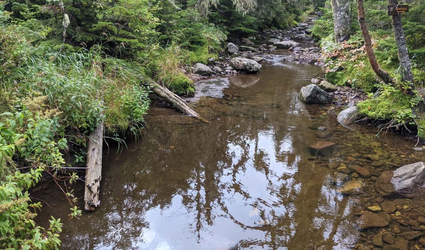 A serene forest stream with clear water reflecting surrounding trees and rocks.