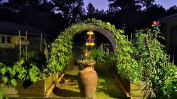 A garden featuring a vine-covered arch and an earthen pot with greenery, illuminated by a vintage chandelier at dusk.