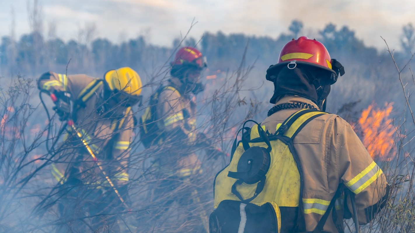 Firefighters in protective gear battle a brush fire amidst smoke and flames in a grassy area.