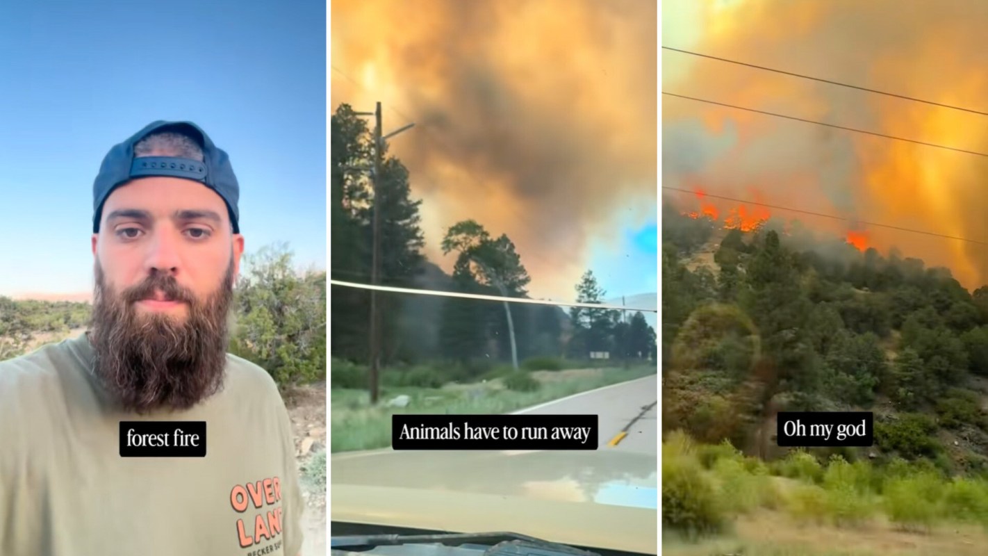 A man reporting on a forest fire spewing thick smoke into the air.