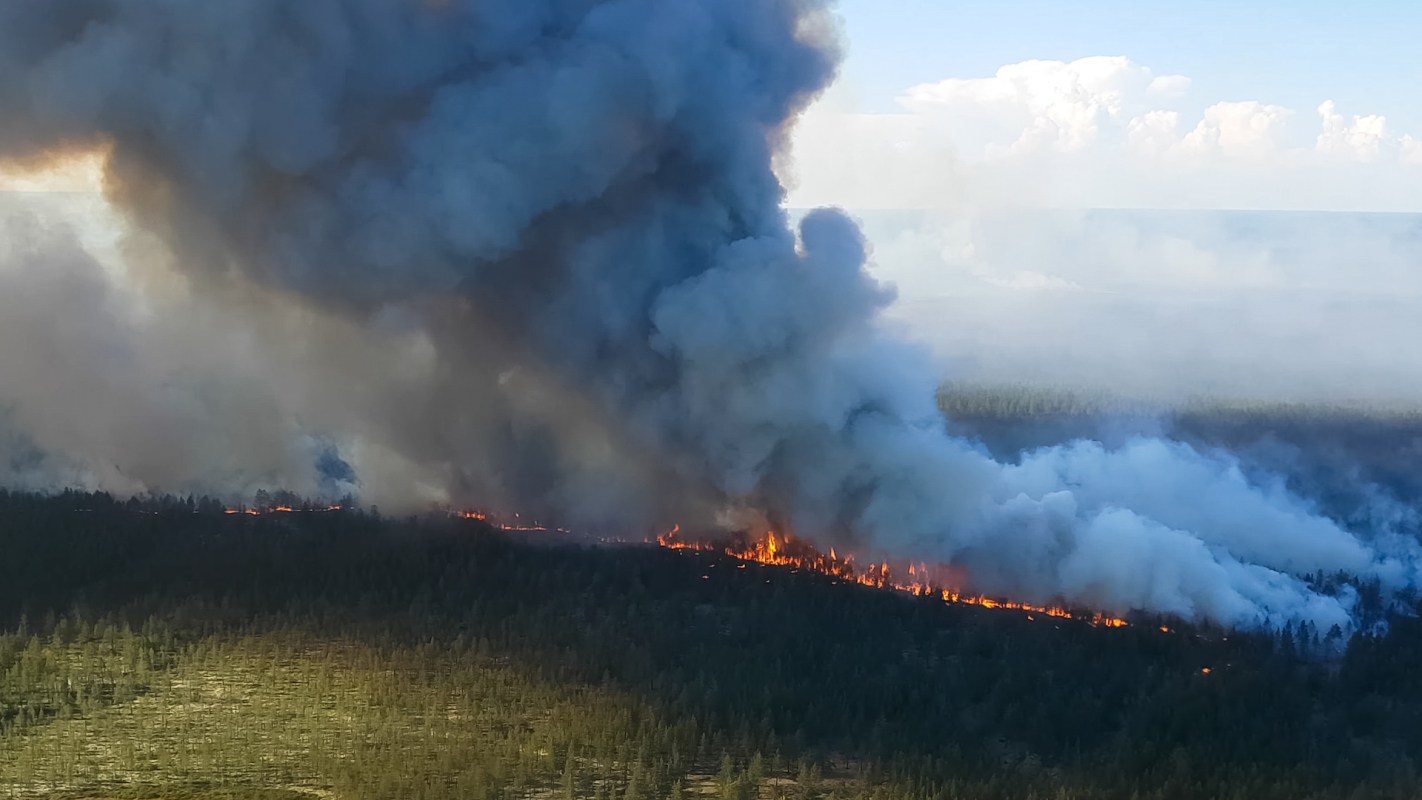 A forest fire spews thick smoke into the sky.