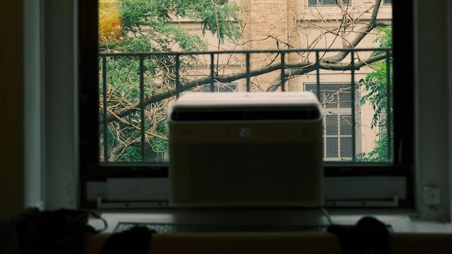 A window view showing a tree branch outside with an air conditioner in the foreground.