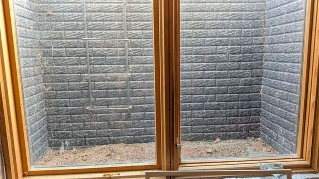 A basement window well.