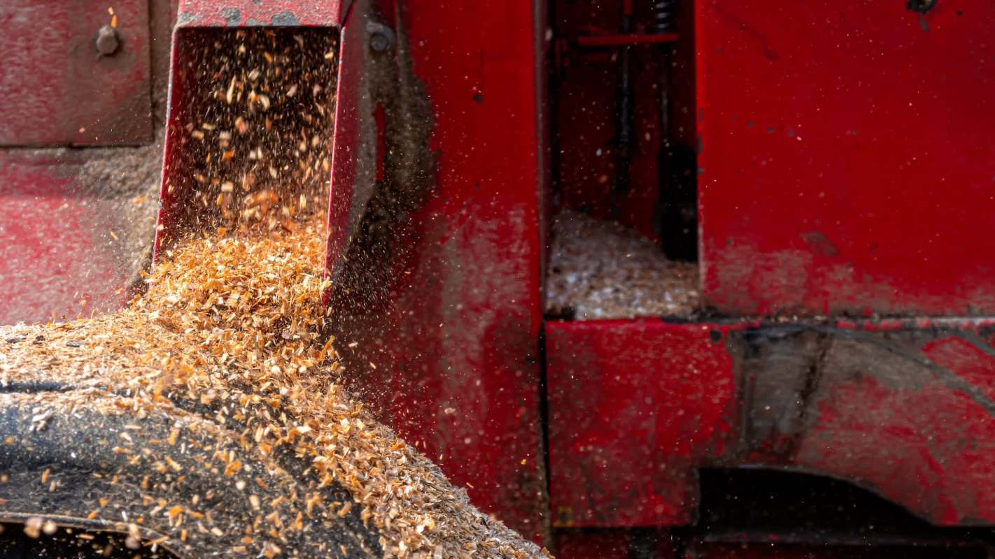Wood chips are being discharged from the hopper of a red industrial machine.