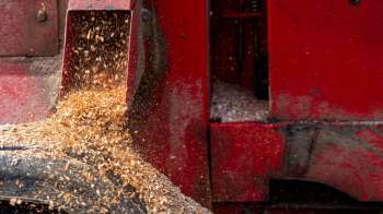 Wood chips are being discharged from the hopper of a red industrial machine.