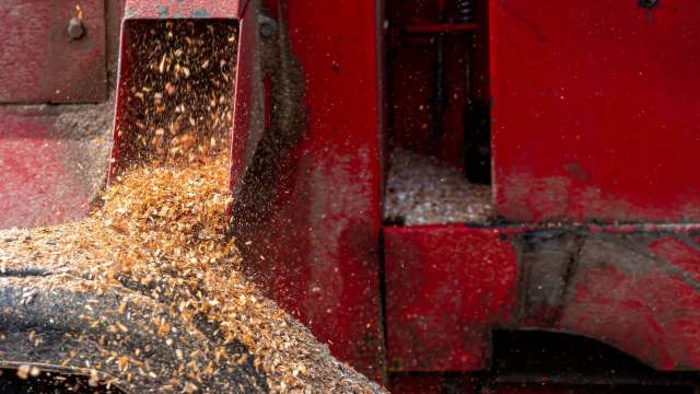 Wood chips are being discharged from the hopper of a red industrial machine.