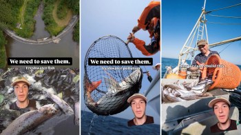 A collage of images highlighting the importance of saving freshwater fish and addressing pollution, featuring a person.
