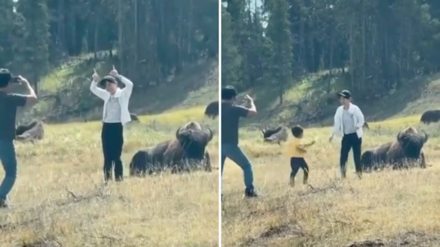 A woman poses playfully while a man takes her photo, with a child and bison nearby in a grassy field.