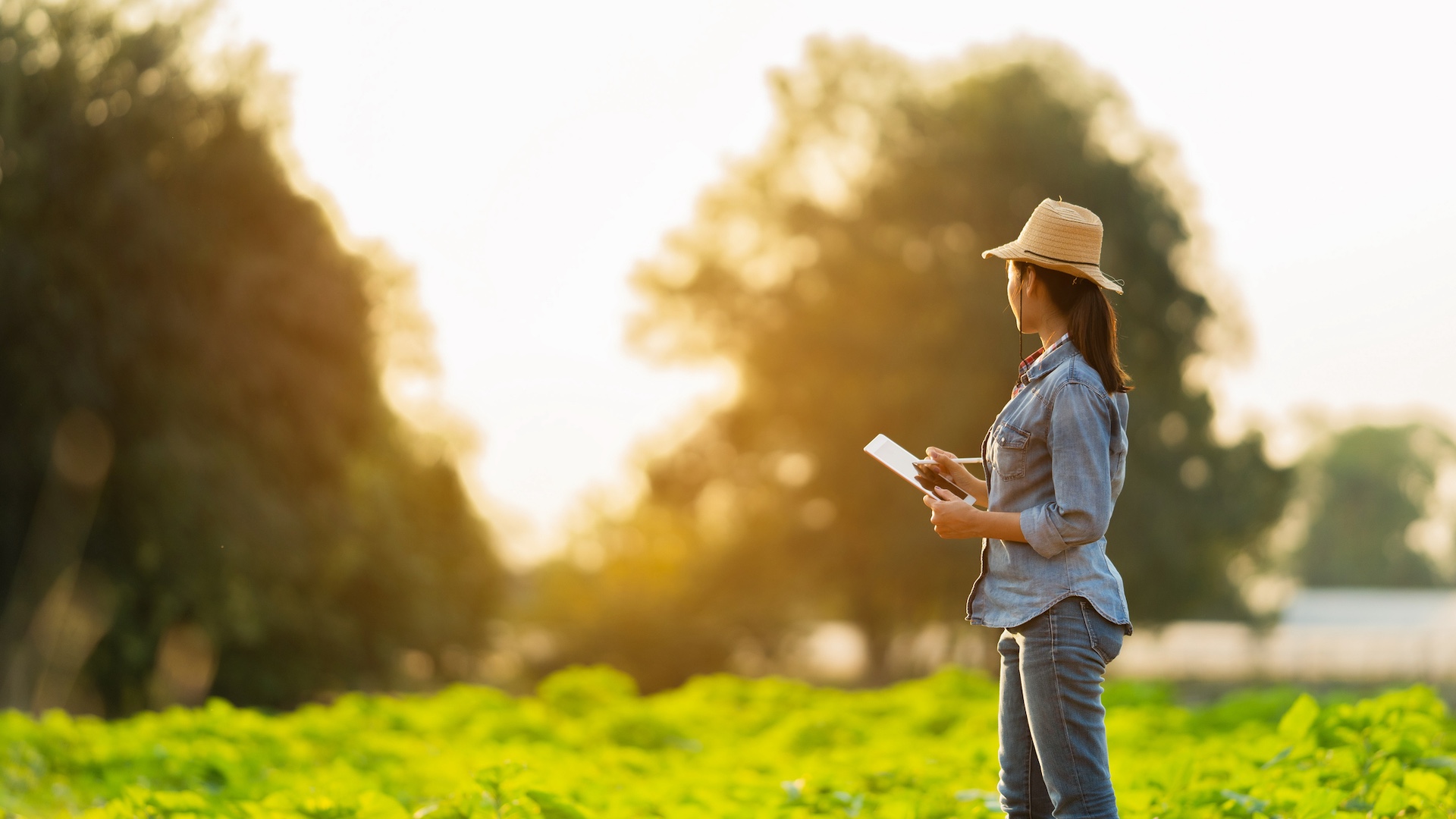 Michigan farm incubator races to replace retiring growers before USDA funding dries up