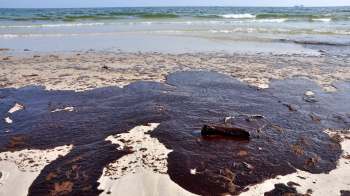 A beach covered in oil.