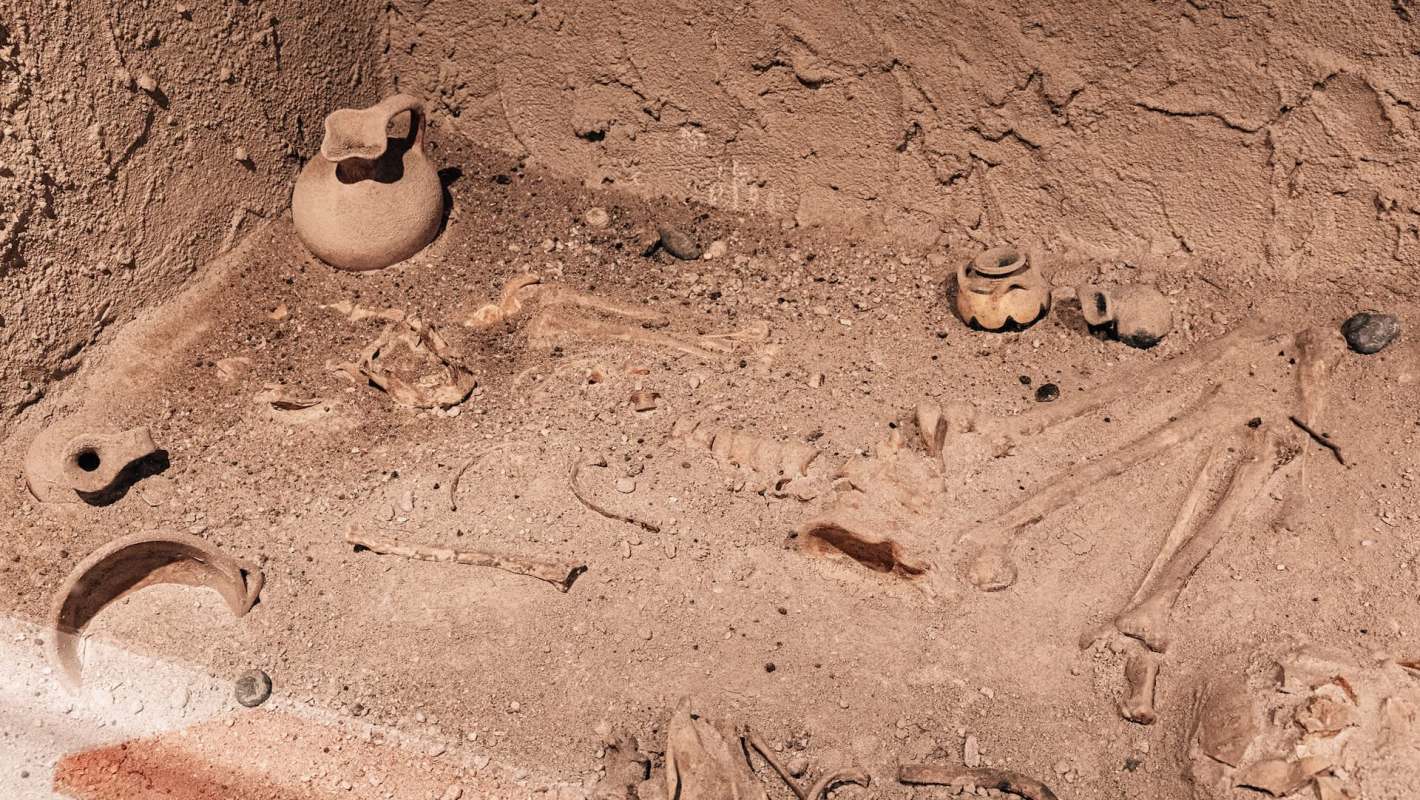 An archaeological site featuring ancient bones and pottery artifacts embedded in sand.
