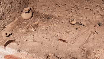 An archaeological site featuring ancient bones and pottery artifacts embedded in sand.