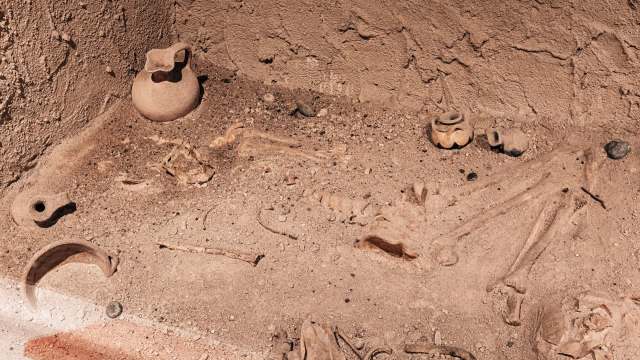 An archaeological site featuring ancient bones and pottery artifacts embedded in sand.