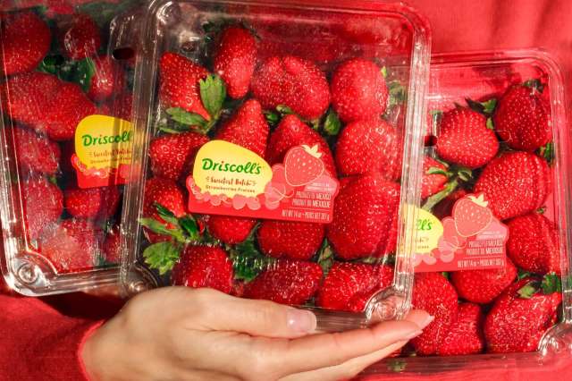 Three containers of ripe red strawberries with Driscoll's brand labels, held by a hand against a red background.