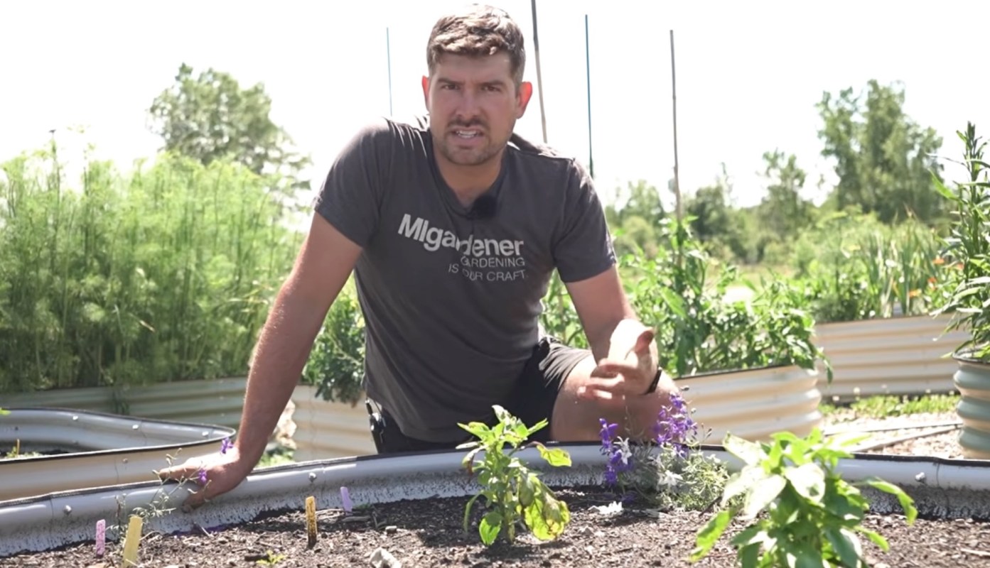 A man sits in a garden, surrounded by plants, explaining gardening techniques while gesturing with his hand.