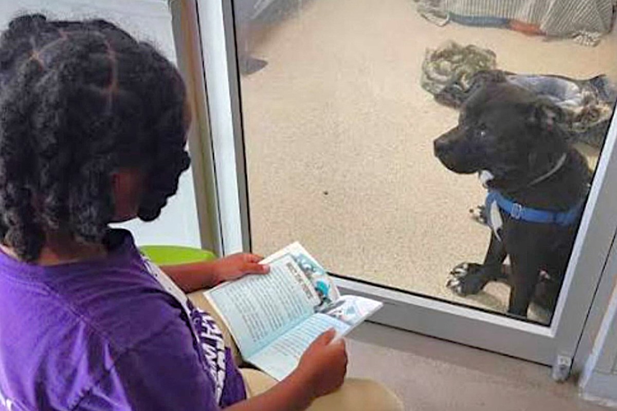 A child reading to a dog through a glass partition.