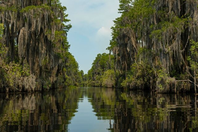 Okefenokee National Wildlife Refuge in Georgia.