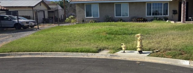 A house with a front lawn.
