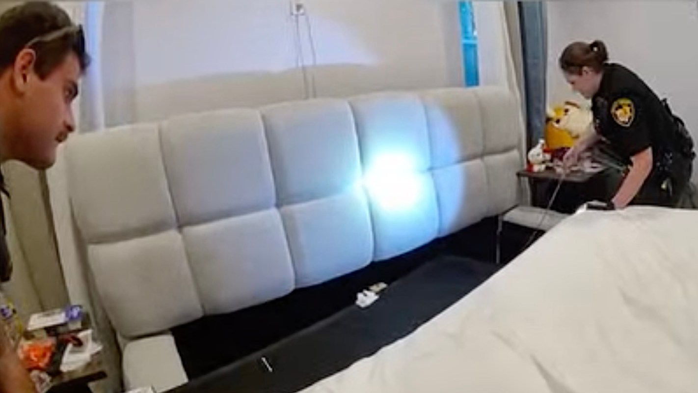 People looking for a snake under a bed.