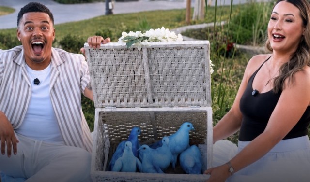 A man and woman excitedly reveal a wicker basket containing several bright blue birds.