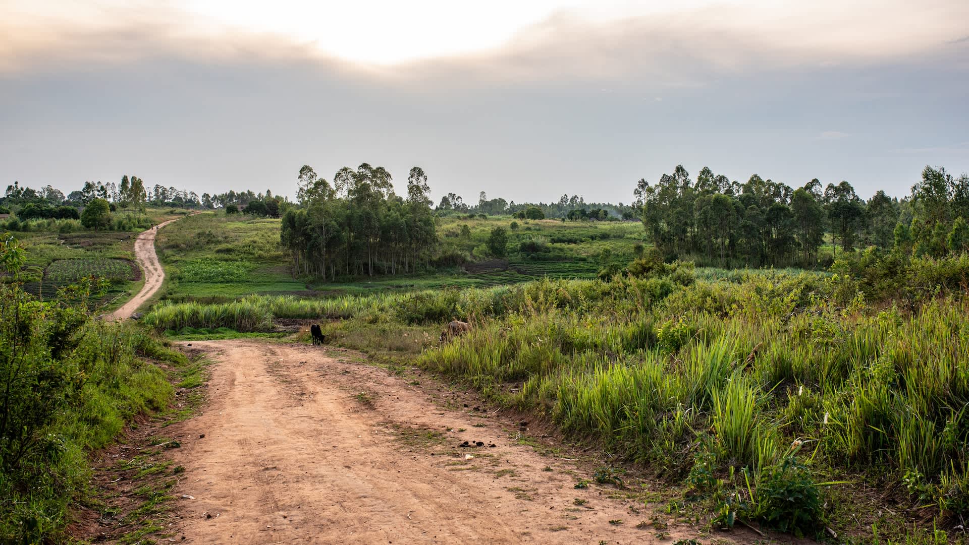 Four Ugandan farmers sue in London, seeking to halt oil pipeline through Uganda and Tanzania