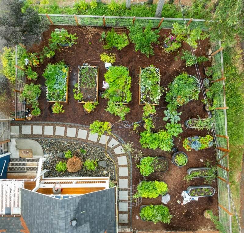 A productive garden with raised beds and a stone path.