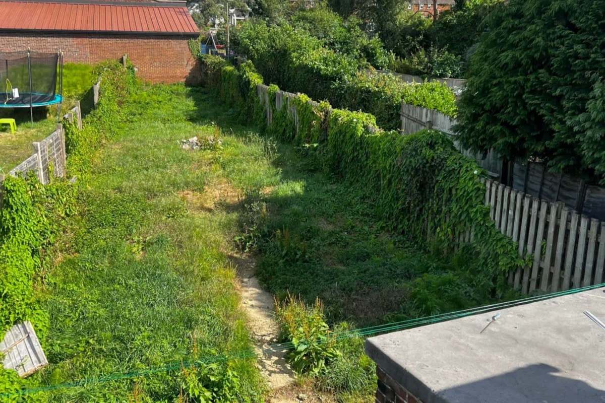 An overgrown garden.